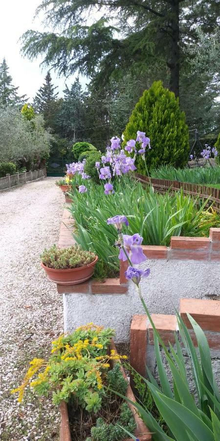 I Pini House Villa Magione Buitenkant foto